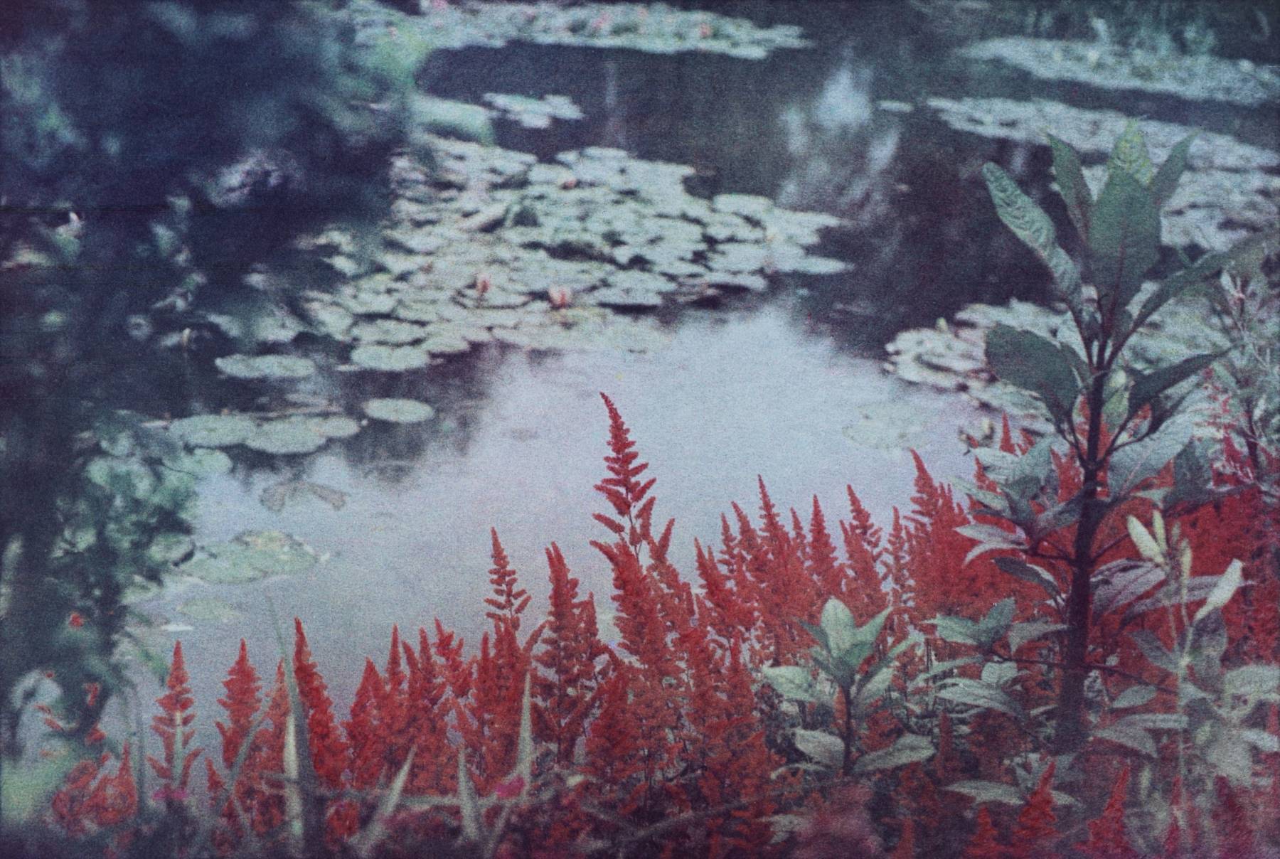 Bernard Plossu, Chez Monet, le jardin de l’autre côté, Giverny