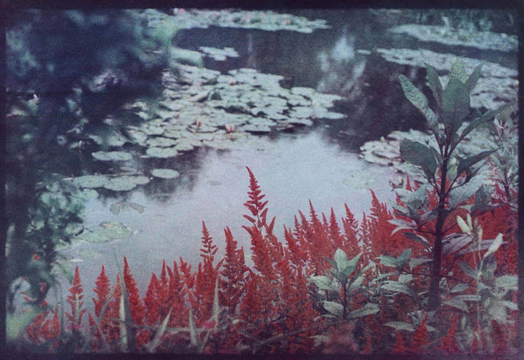 Bernard Plossu, Chez Monet, le jardin de l’autre côté, Giverny