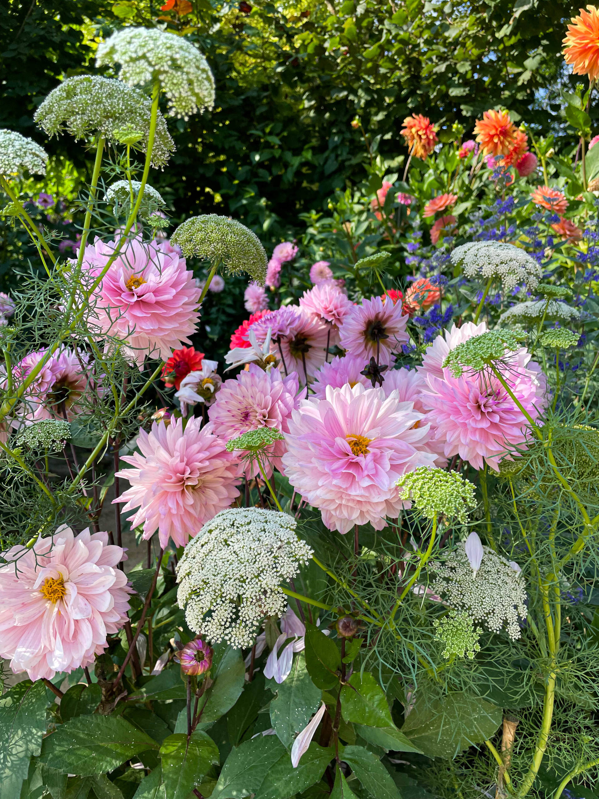 Le jardin au fil des saisons — Musée Giverny