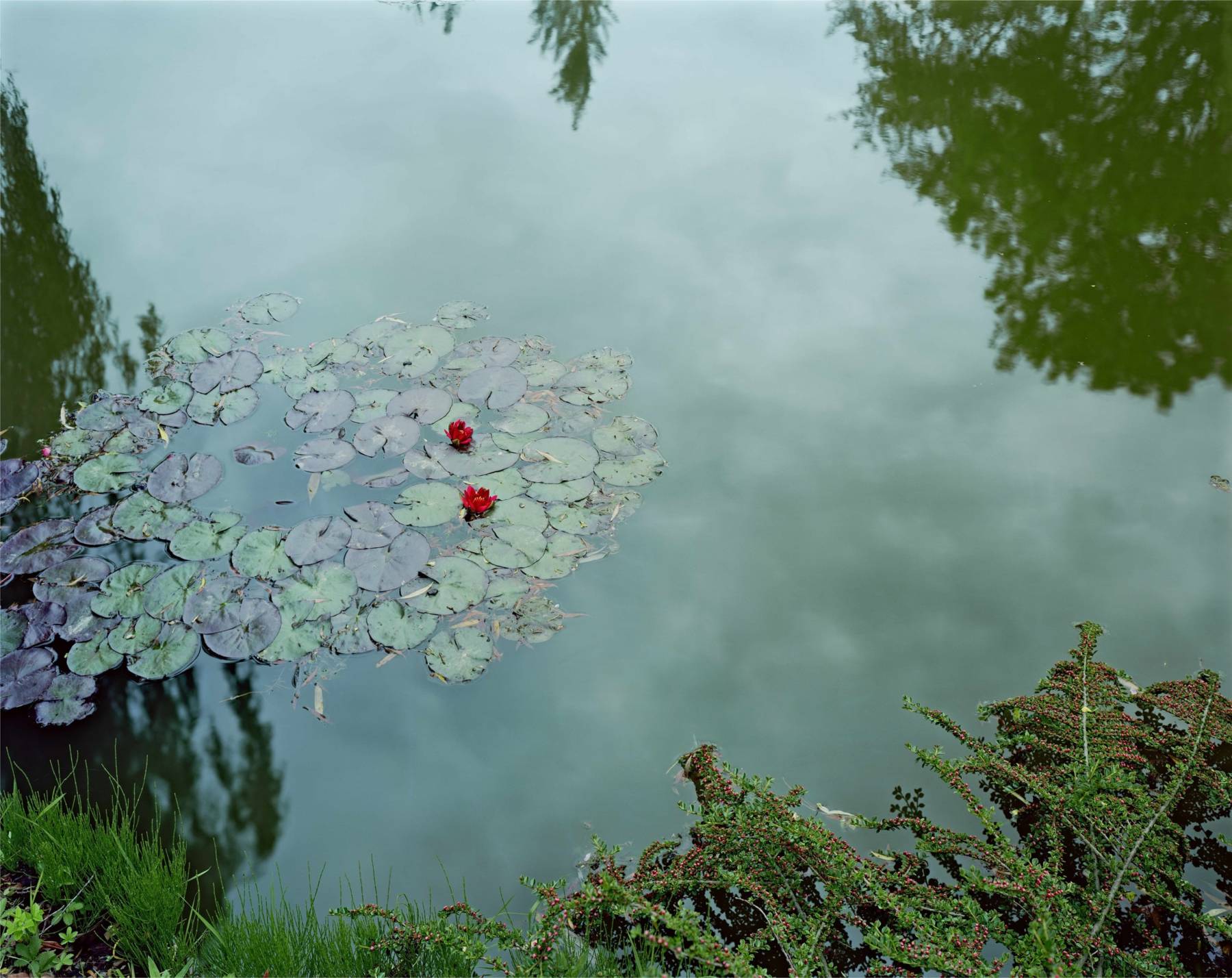 Stephen Shore, Giverny, France