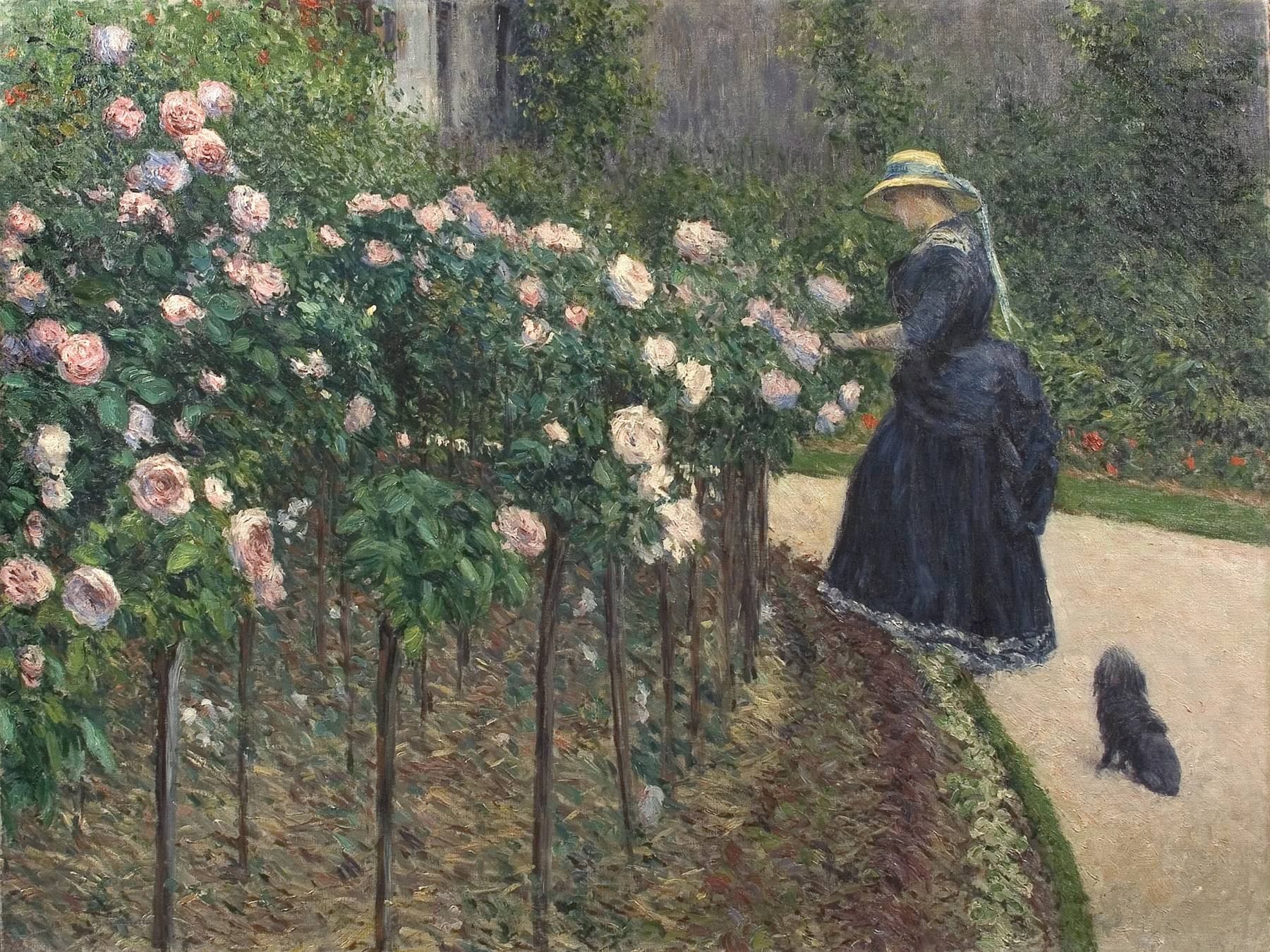 Gustave Caillebotte, Les Roses, jardin du Petit Gennevilliers