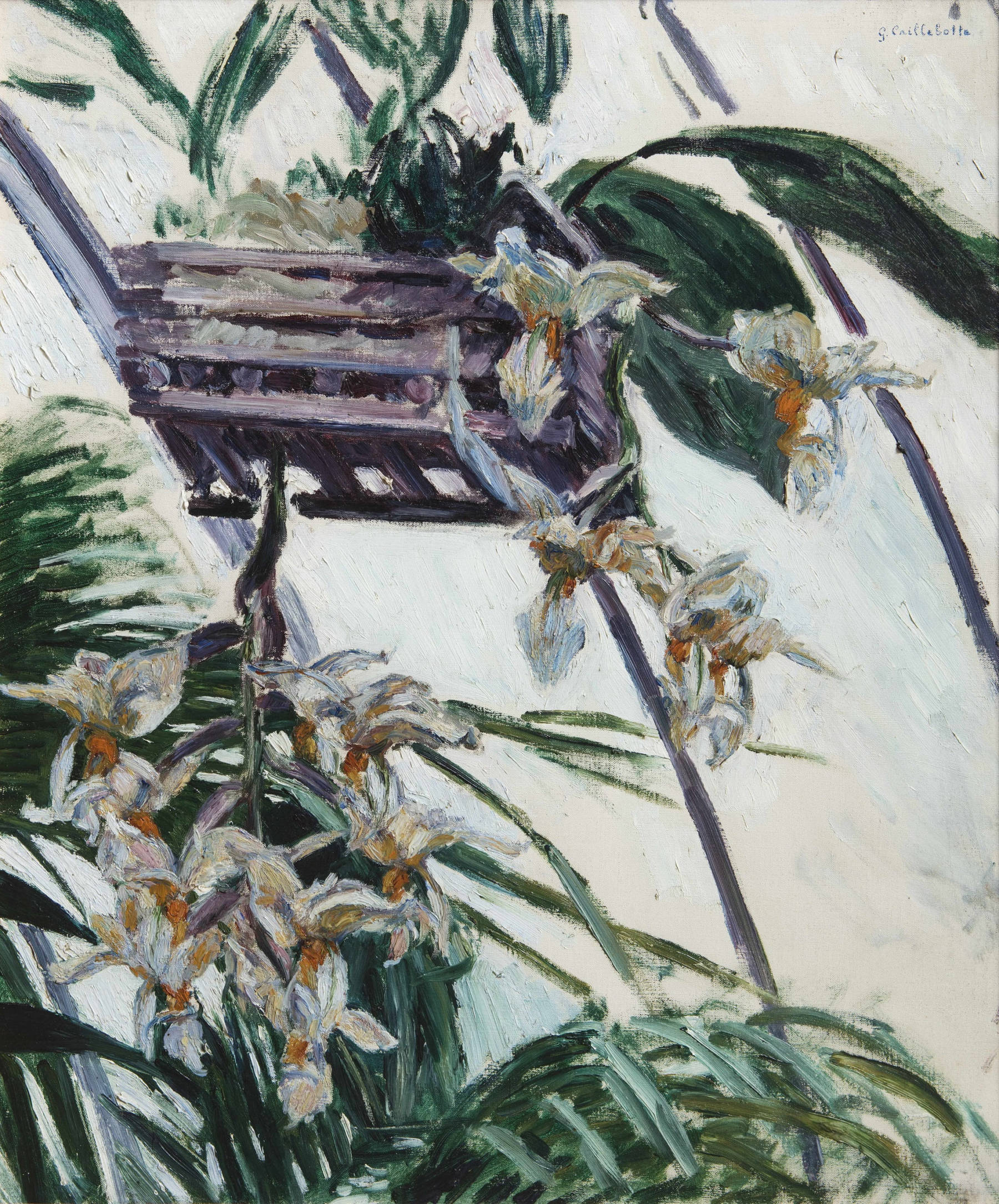 Gustave Caillebotte, Orchidées