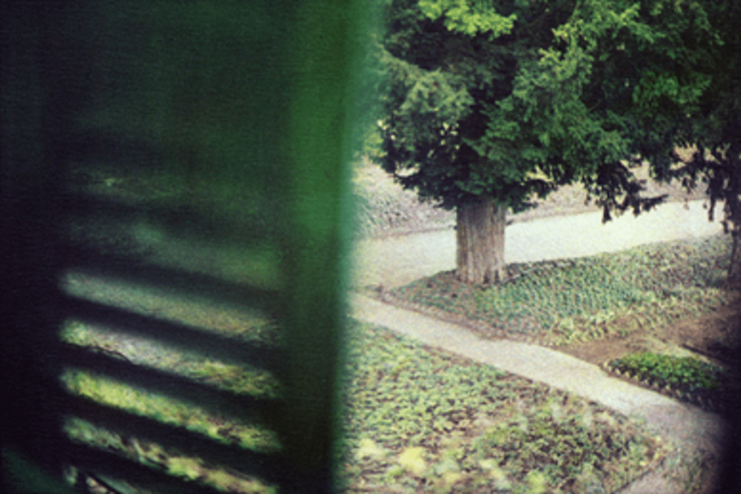 Bernard Plossu, Jardin vu de la chambre de Claude Monet, Giverny