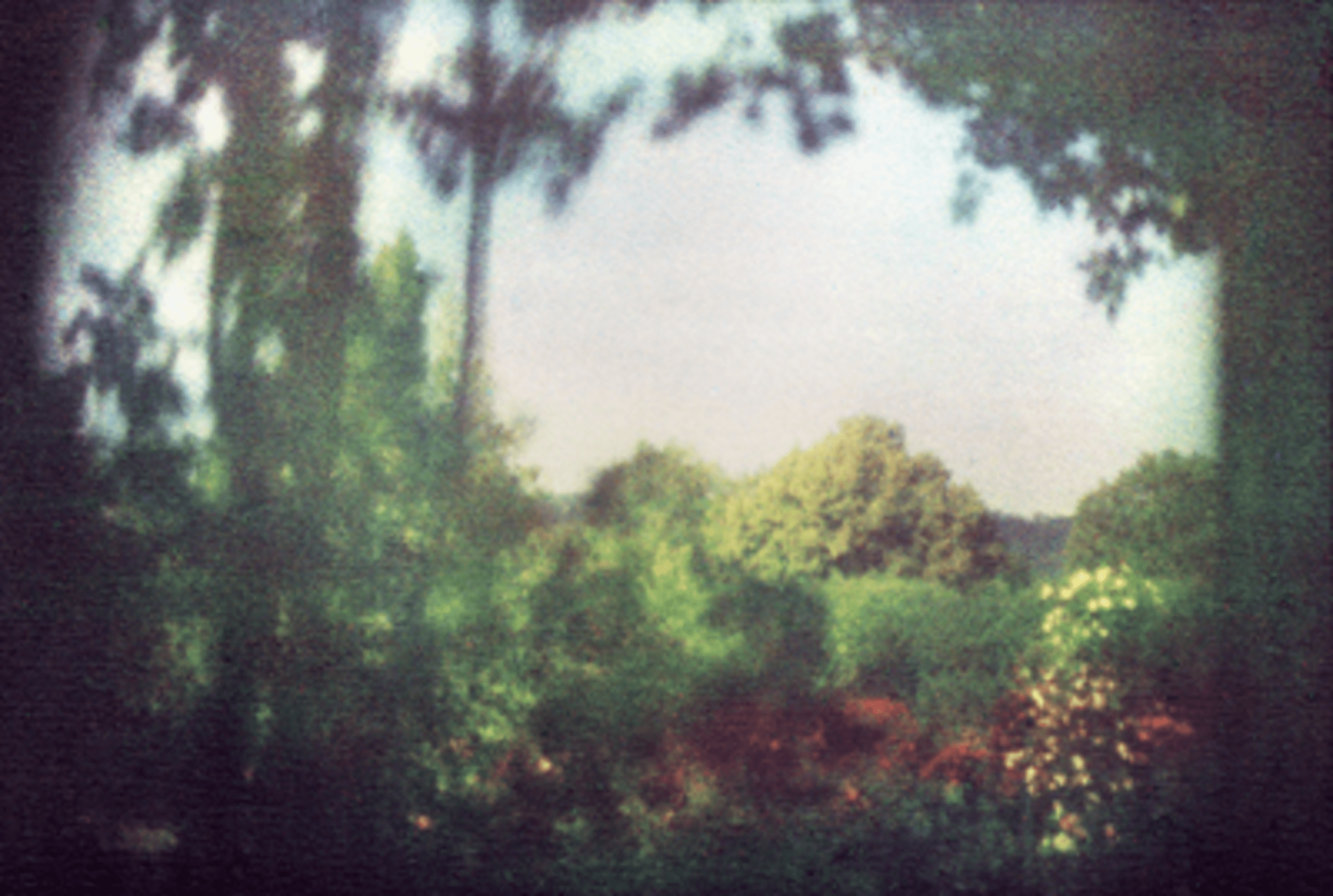 Bernard Plossu, Vue depuis la chambre de Claude Monet, Giverny