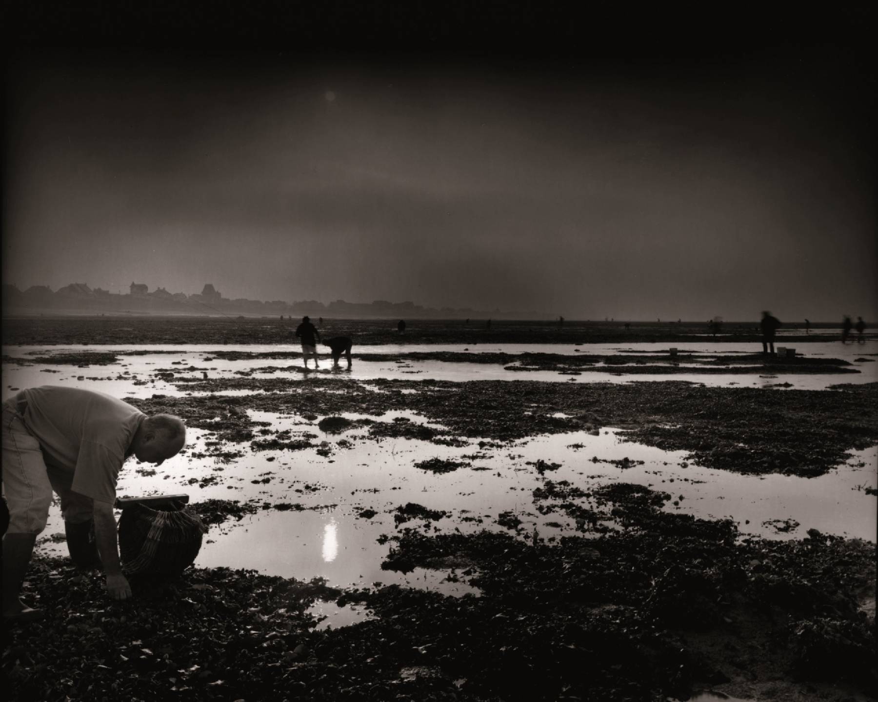 Olivier Mériel, Le Cueilleur de lumière, marais d’équinoxe, Bernières-sur-Mer