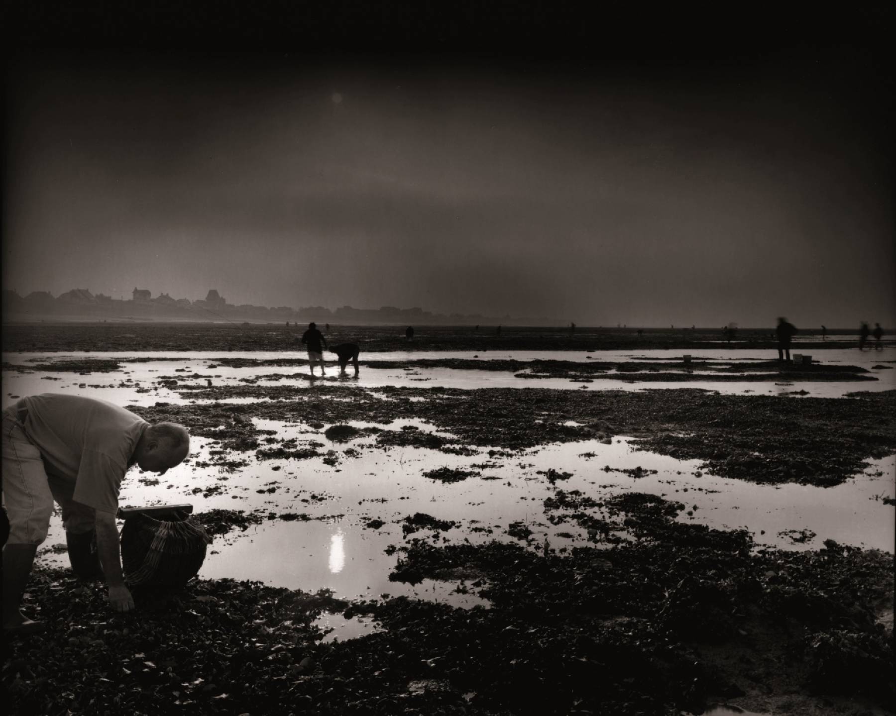 Olivier Mériel, Le Cueilleur de lumière, marais d’équinoxe, Bernières-sur-Mer