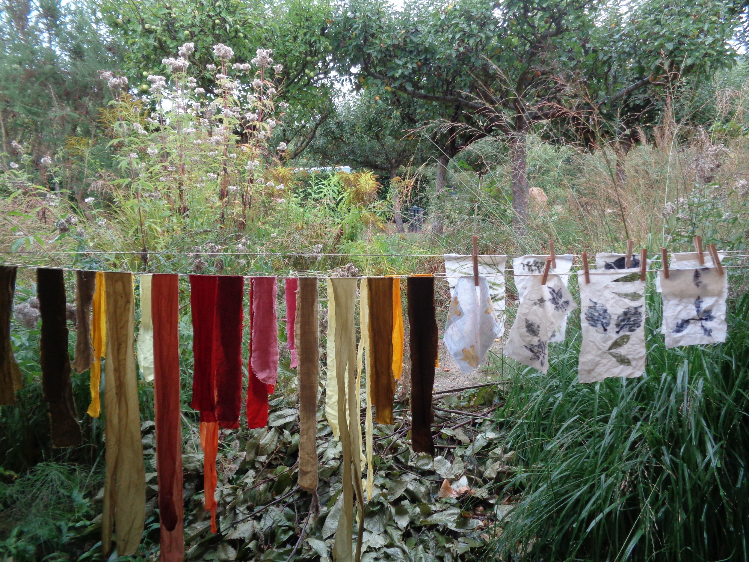 Atelier teintures et couleurs au jardin au musée des impressionnismes Giverny