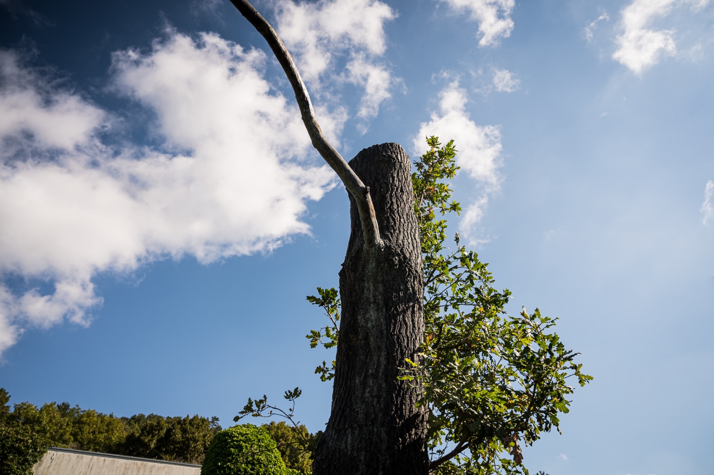 Giuseppe Penone, Fils d’eau