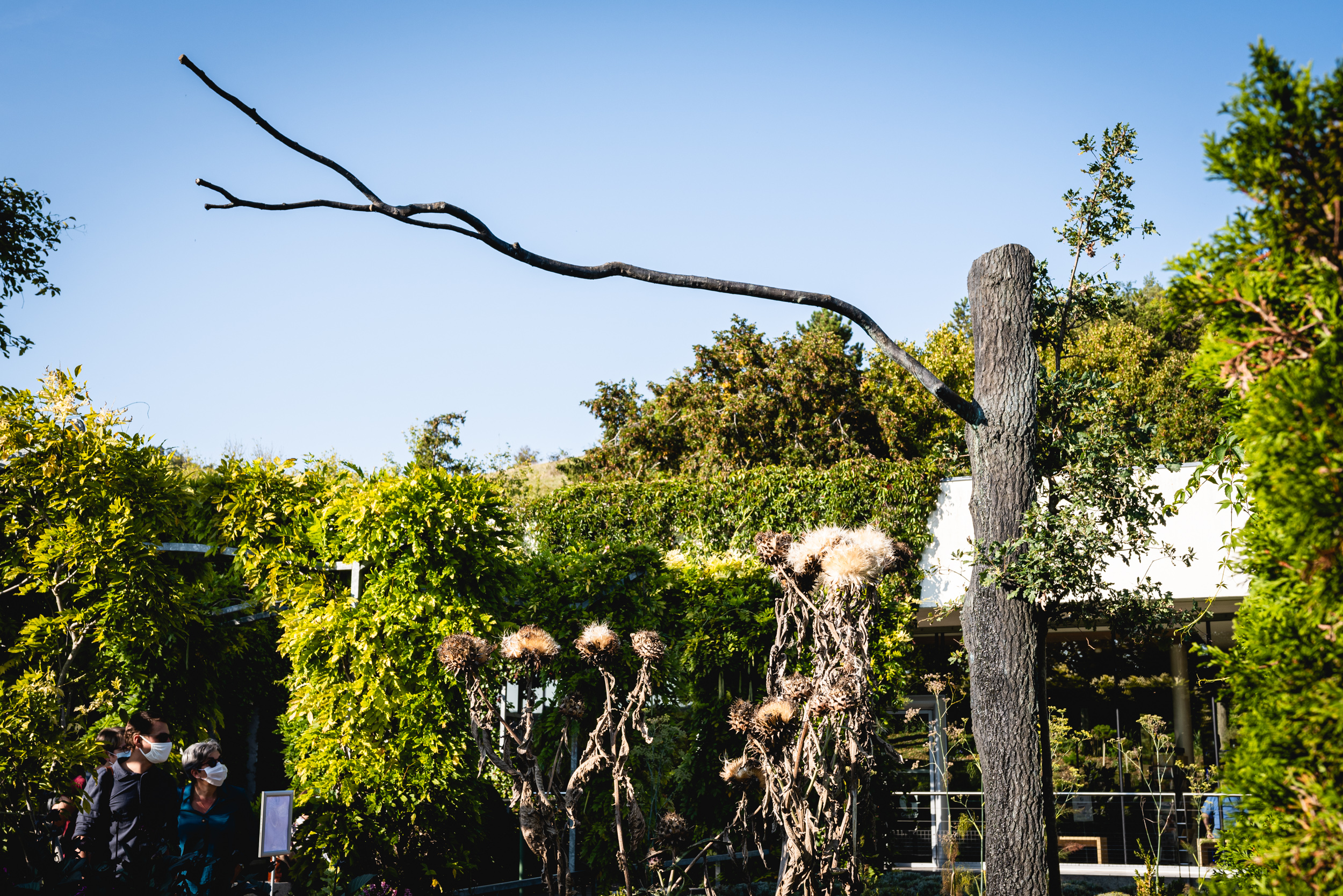 Giuseppe Penone © Alexis Guilhem