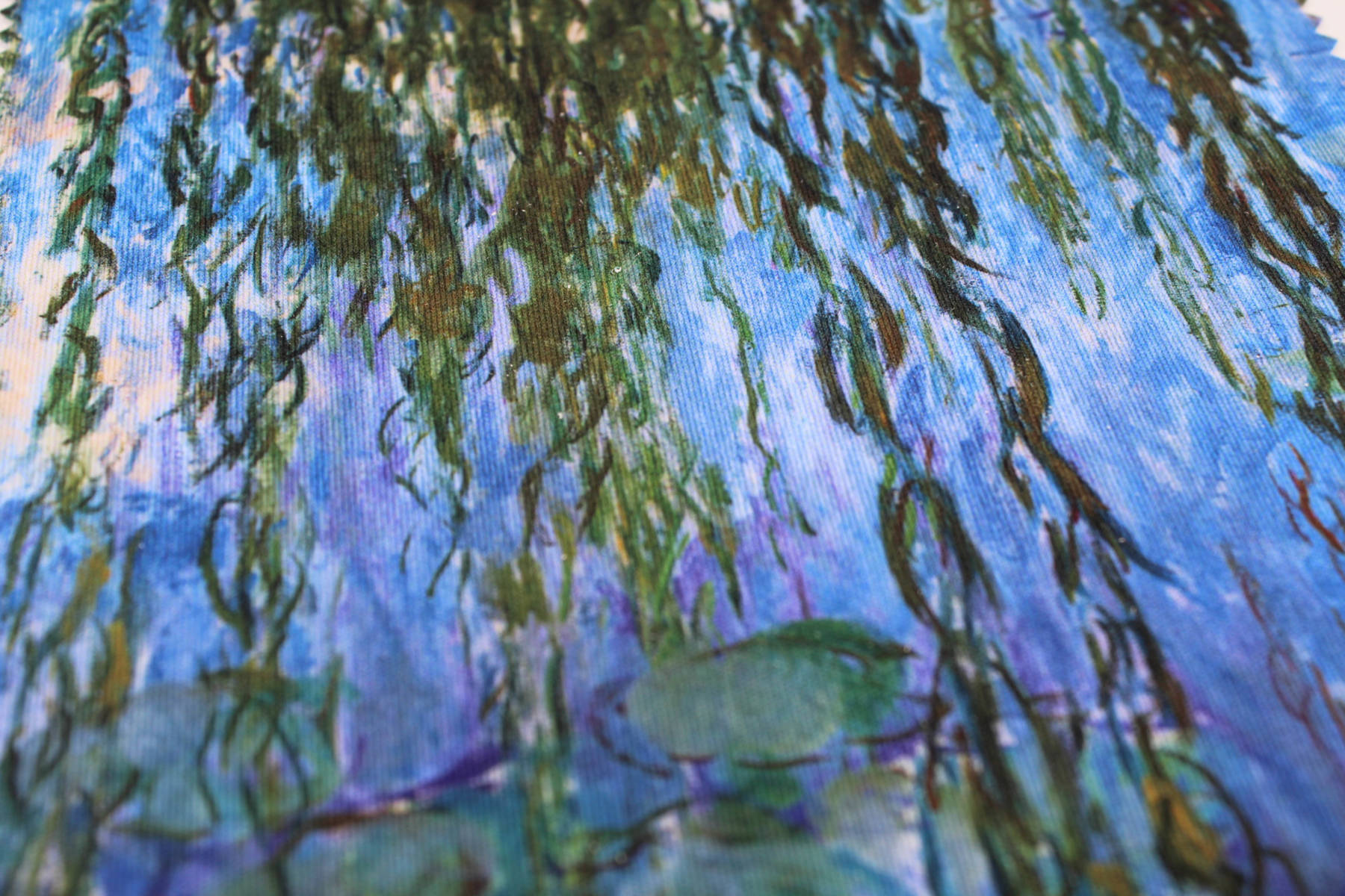 Chiffonnette à lunettes - C. Monet