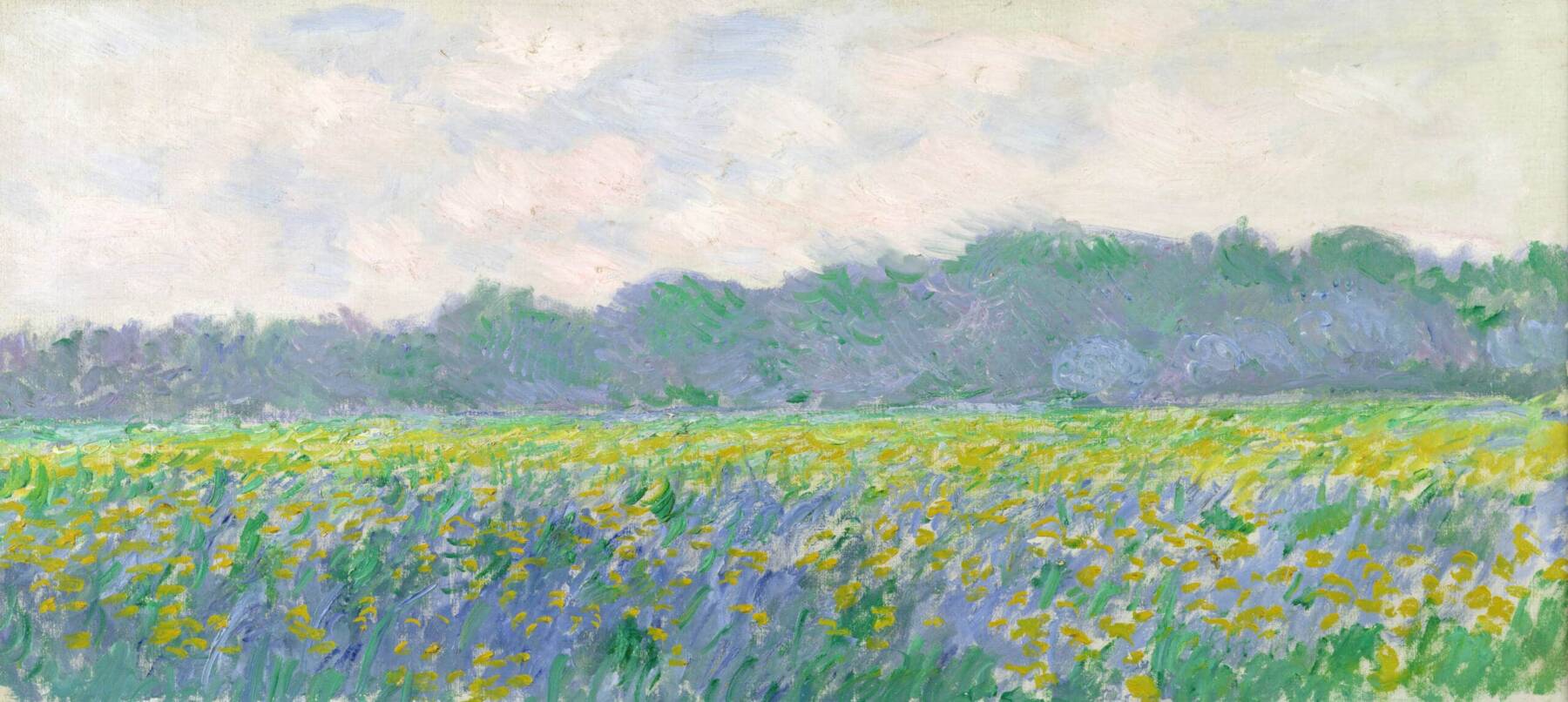 Claude Monet (1840-1926) Champ d’iris jaunes à Giverny, 1887 Huile sur toile, 45 x 100 cm Paris, musée Marmottan Monet, legs Michel Monet en 1966, 5172 © musée Marmottan Monet